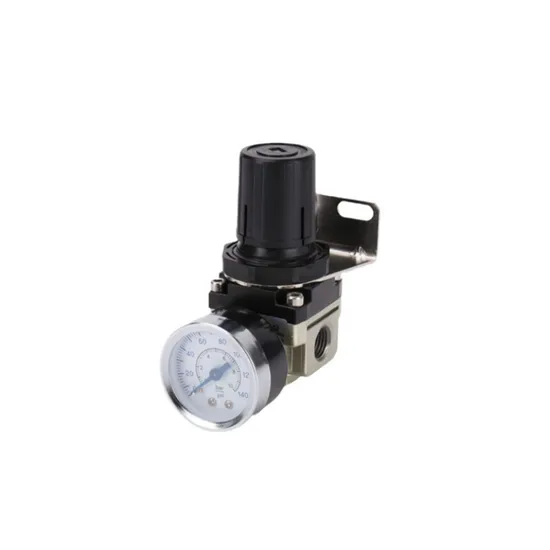 Convenient Flexible Pneumatic Filter for Made in China Quality and Customized Configuration